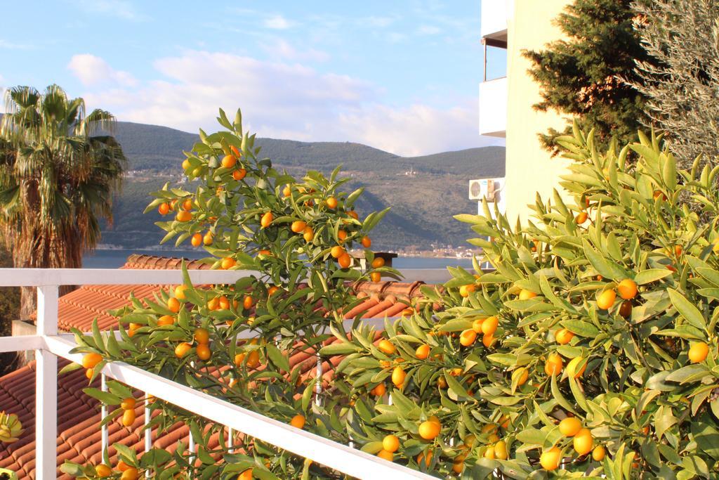 Guest House Tomanovic Herceg Novi Exteriér fotografie